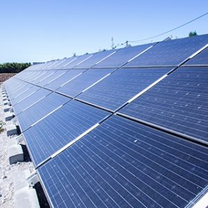 paineis-solares-fotovoltaico-frutomania-300x300